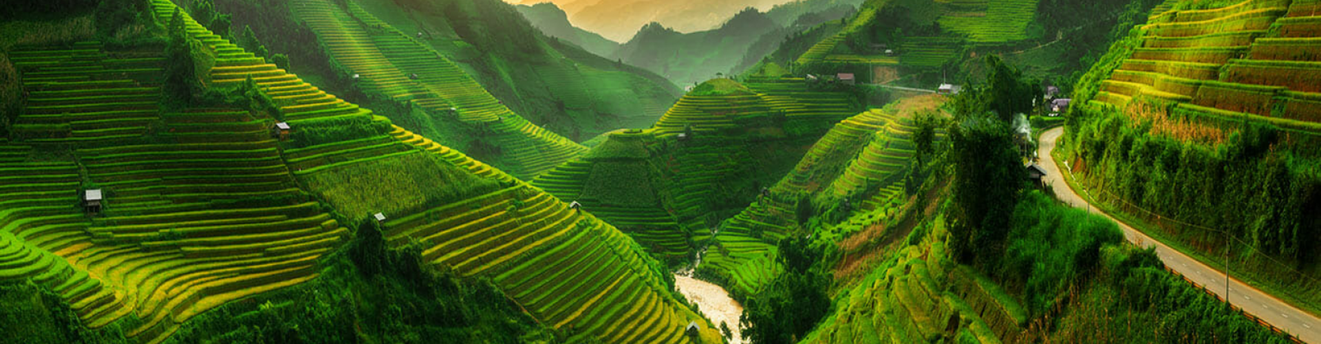 Các bài Blog