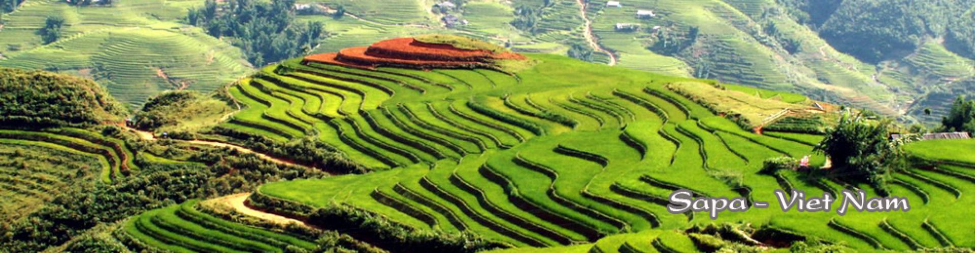 Thông Tin Hữu ích đến Miền Bắc
