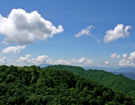 Vườn quốc gia Bạch Mã