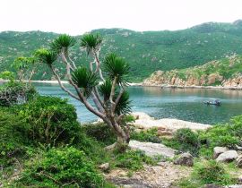 Vườn quốc gia Núi Chúa