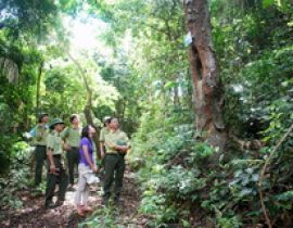 Vườn quốc gia Bái Tử Long