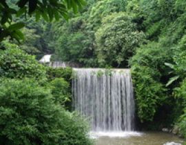 Vườn quốc gia Ba Vì