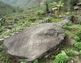 Bãi đá cổ Nấm Dần