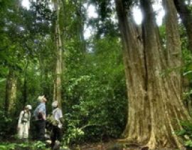 Vườn quốc gia Cát Tiên