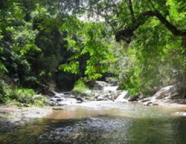 Vườn quôc gia Chư Mom Ray