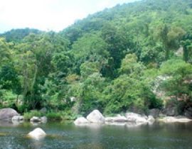 Vườn Quốc gia Chư Yang Sin