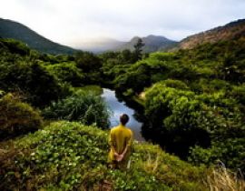 Vườn quốc gia Côn Đảo