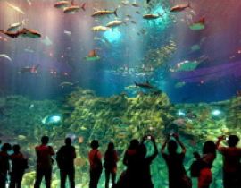 Công viên Hải dương Hồng Kông