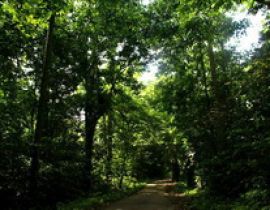 Vườn quốc gia Cúc Phương