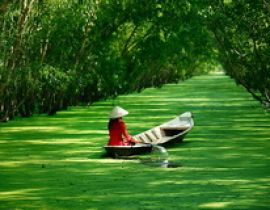 Cù Lao An Bình và Bình Hòa Phước