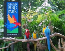 Vườn chim Jurong