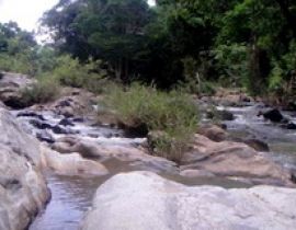 Khu bảo tồn thiên nhiên Krông Trai