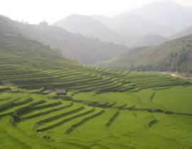 Ruộng bậc thang Mù Cang Chải