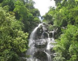 Vườn quốc gia Pù Mát