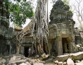 Đền Ta Prohm