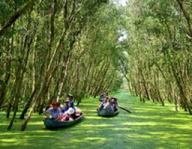 Rừng tràm Trà Sư