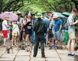 Khu Du lịch Sinh thái Vàm Sát