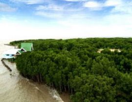 Vườn quốc gia Mũi Cà Mau