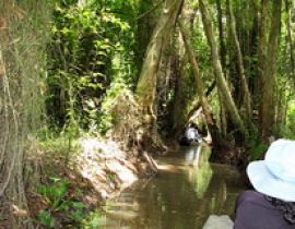 Khu di tich Xẻo Quýt