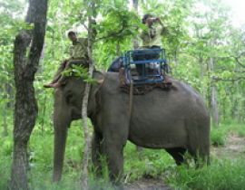 Vườn quốc gia Yor Don