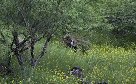 Hà Nội - Mộc Châu - Sơn La - Điện Biên - Hà Nội