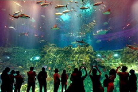 Công viên Hải dương Hồng Kông