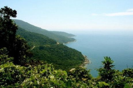 Bán đảo Sơn Trà