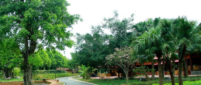 Thảo Viên Resort